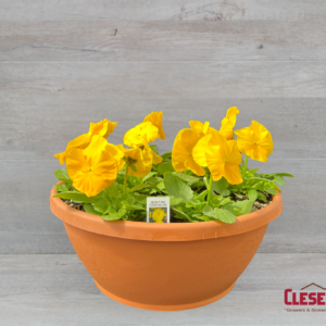 PANSY BOWL - DELTA PRO PURE YELLOW