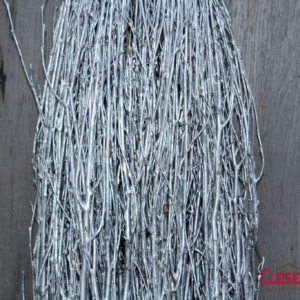 BIRCH - SILVER 18-24IN