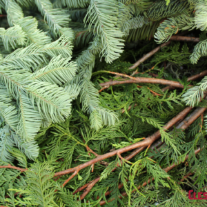 BOUGHS - ASST (4 TYPES) 45LB