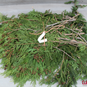 BOUGHS - CEDAR CONED