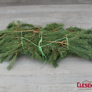 BOUGHS - SCOTCH PINE