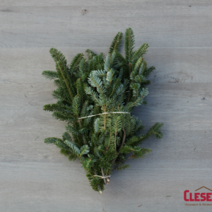 BUNCHED - FRASER FIR