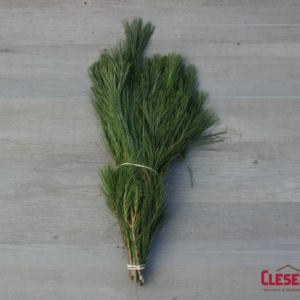 BUNCHED - WHITE PINE