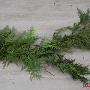 GARLAND - CEDAR RED 75FT