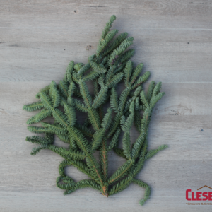 TIPS - NOBLE FIR TIPS