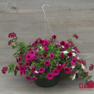 MIX MASTER COMBO - BERRY BASKET