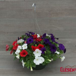 PETUNIA - COMBO RED/WHITE/BLUE 10IN HB