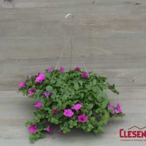 PETUNIA - WAVE LAVENDER 10IN HB