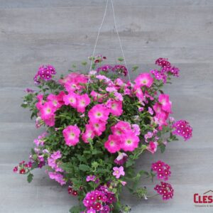 MIX MASTER COMBO - I HEART PINK