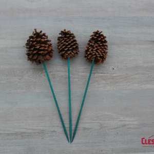 PINE CONE - JEFFREY ON STICK